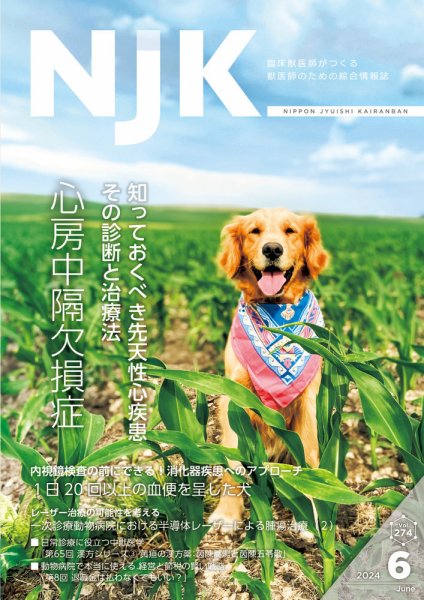 NJK Vol.274 (発売日2024年06月01日) 表紙
