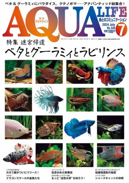 アクアライフ 7月号 (発売日2024年06月11日) 表紙