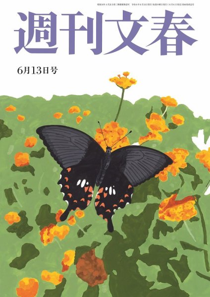 週刊文春 6月13日号 (発売日2024年06月06日) 表紙
