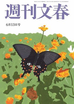 【即購入OK】IMF会報誌vol1～6＋8周年冊子 8cm 短冊 CD # FBI 大泉めぐみプロジェクト /3枚セット/shela