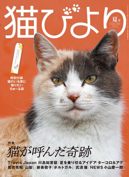 猫びより 猫びより夏号 (発売日2024年06月12日) 表紙