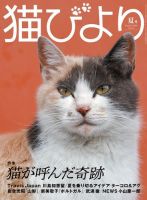 猫びより 