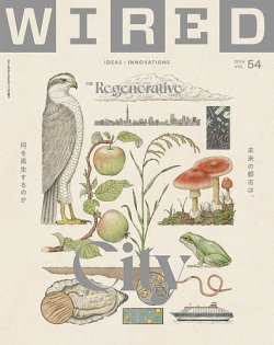 wired 雑誌 発売 日