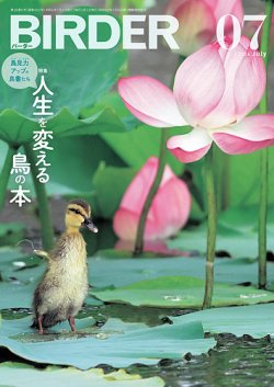 BIRDER（バーダー） 2024年7月号 (発売日2024年06月14日) 表紙