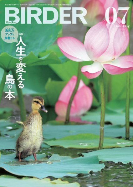 BIRDER（バーダー） 2024年7月号 (発売日2024年06月14日) 表紙