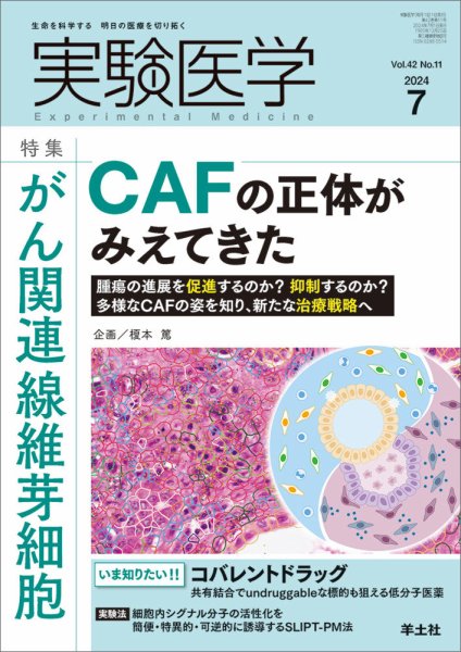実験医学 Vol.42No.11 (発売日2024年06月20日) 表紙