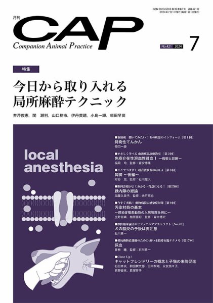 月刊CAP 2024年7月号 (発売日2024年07月01日) 表紙