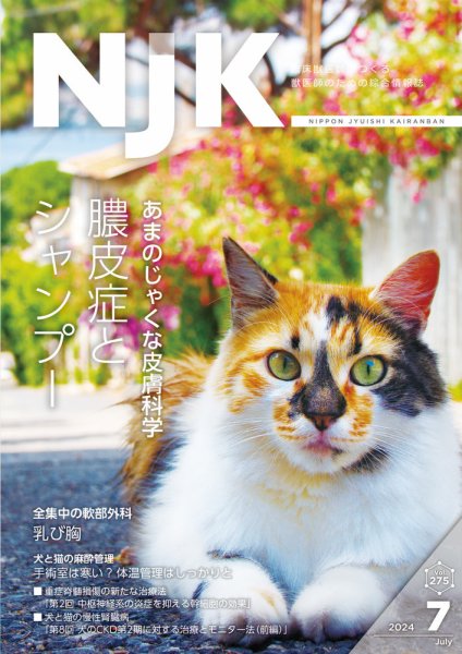 NJK Vol.275 (発売日2024年07月01日) 表紙
