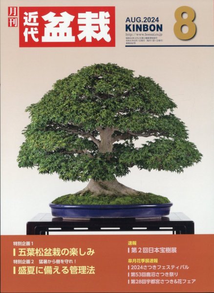 月刊 近代盆栽 2024年8月号 (発売日2024年07月04日) 表紙