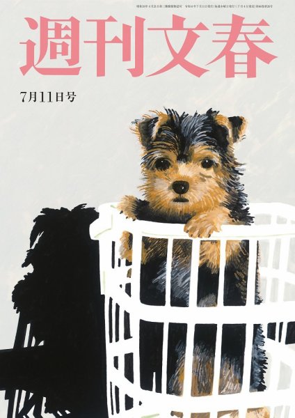 週刊文春 7月11日号 (発売日2024年07月04日) 表紙