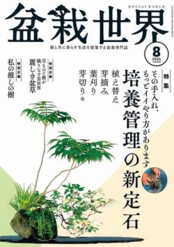 盆栽世界 2024年8月号 (発売日2024年07月04日) 表紙