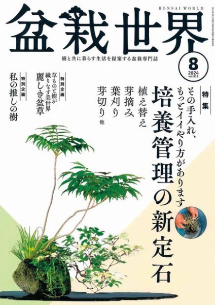 盆栽世界 2024年8月号 (発売日2024年07月04日) 表紙
