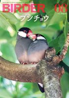BIRDER（バーダー） 2024年8月号 表紙