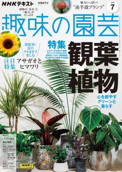 NHK 趣味の園芸 2024年7月号 (発売日2024年06月21日) | 雑誌/定期購読