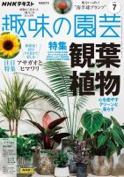 NHK 趣味の園芸 2024年7月号 表紙