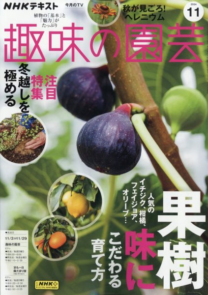 NHK 趣味の園芸 2024年11月号 (発売日2024年10月21日) 表紙