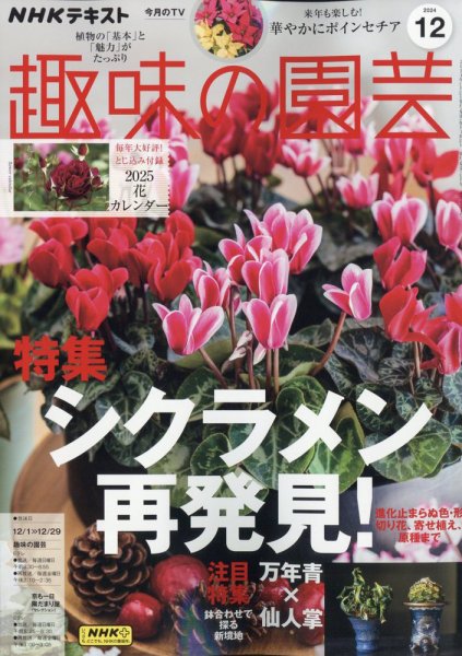 NHK 趣味の園芸 2024年12月号 (発売日2024年11月21日) 表紙