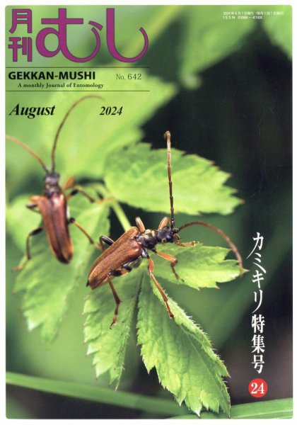 月刊むし 642 (発売日2024年07月25日) 表紙