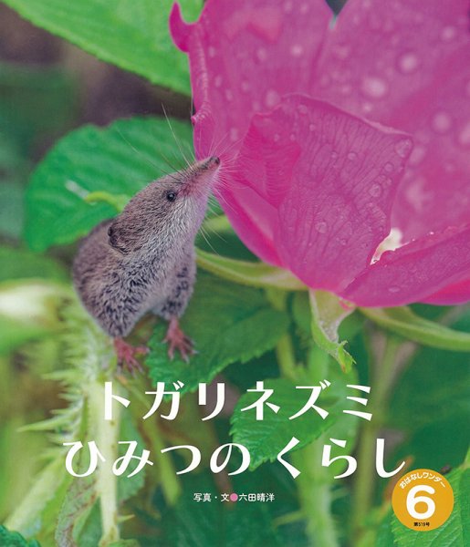 おはなしワンダー 2024年6月号 (発売日2024年06月01日) 表紙