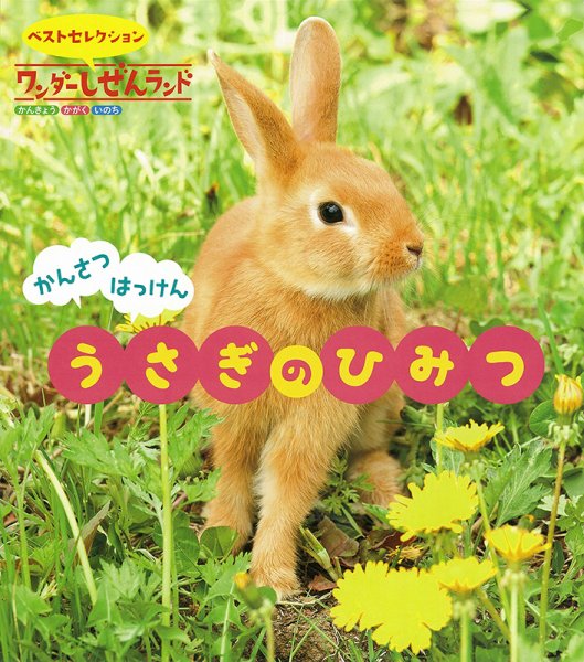 ワンダーしぜんランド 2024年4月号 (発売日2024年04月01日) 表紙