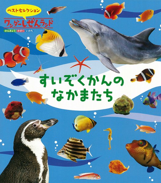 ワンダーしぜんランド 2024年8月号 (発売日2024年08月01日) 表紙