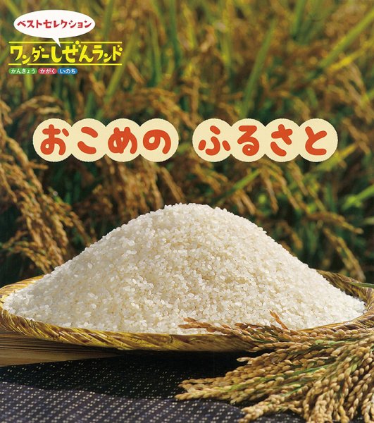 ワンダーしぜんランド 2024年10月号 (発売日2024年10月01日) 表紙