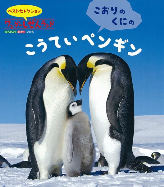 ワンダーしぜんランド 2025年2月号 (発売日2025年02月01日) 表紙