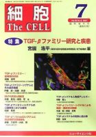 細胞 7月臨時増刊号 (発売日2007年06月30日) 表紙