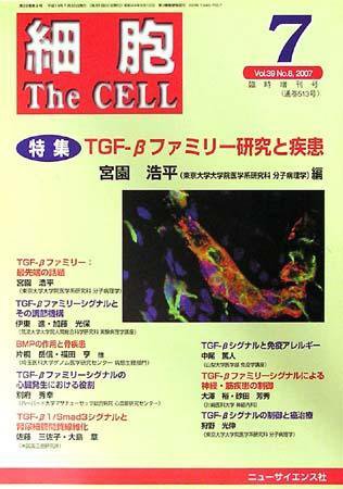 細胞 7月臨時増刊号 (発売日2007年06月30日) 表紙