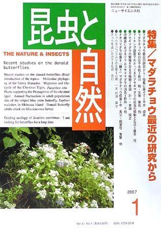 チョウの生物学☆本田 本田計一 チョウの生物学 計一☆