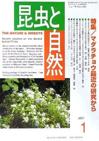 昆虫と自然 1月号 (発売日2006年12月20日) 表紙