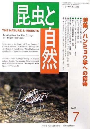 昆虫と自然 7月号 (発売日2007年06月20日) 表紙