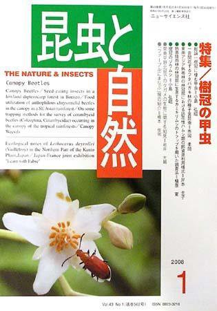 昆虫と自然 1月号 (発売日2007年12月20日) 表紙