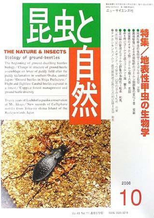 昆虫と自然 10月号 (発売日2008年09月20日) 表紙
