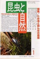昆虫と自然 1月号 表紙