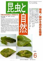 昆虫と自然 6月号 表紙