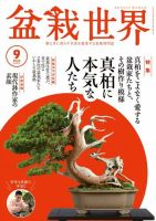 自然と盆栽 バックナンバー NO BONSAI ⁡ 福岡・住吉にお店を構えるFlower&Bonsai shop