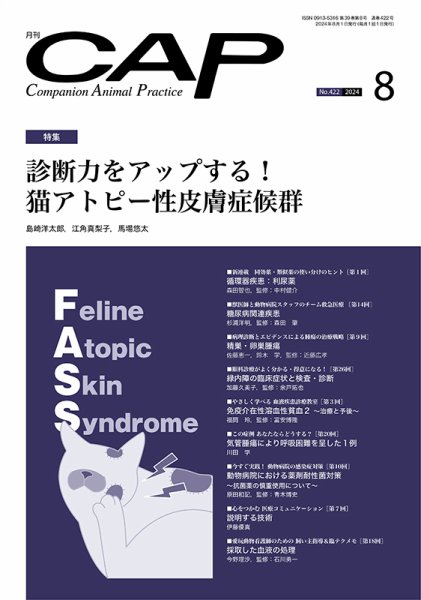 月刊CAP 2024年8月号 (発売日2024年08月01日) 表紙