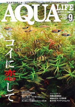 月刊アクアライフ 2023年全号 バックナンバー 月刊アクアライフ 2023年 07 月号 スネークヘッドに歴史あり