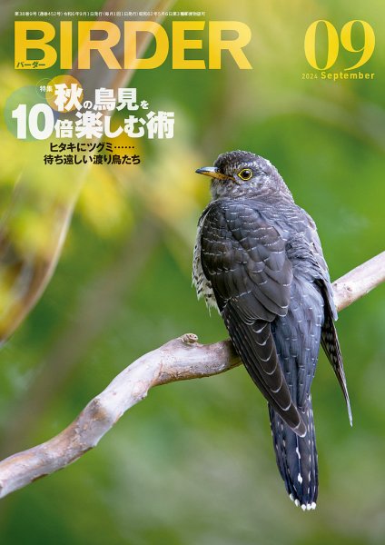 美品【BIRDER】2024年 BIRDER（バーダー） 2024年9月号 (発売日2024年08月16日) | 雑誌/電子