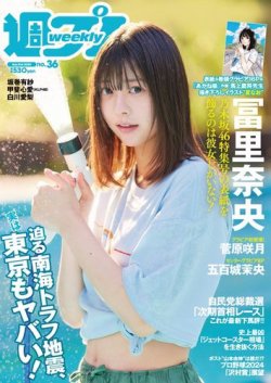 週刊プレイボーイ FRIDAY　計29冊セット 週刊プレイボーイ FRIDAY 計29冊セット 週刊プレイボーイ FRIDAY 計29