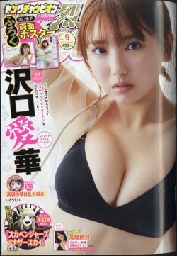 ヤングチャンピオン 烈 2024年9/30号 (発売日2024年08月20日) 表紙