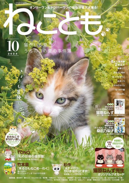 素敵な恋のお話等　 絵本　ネコ雑誌等　全8冊 ねことも 2024年10月号 (発売日2024年08月16日) | 雑誌/電子書籍/定期