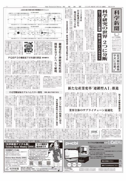 科学新聞 2024年08月23日発売号 表紙