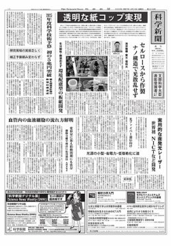 科学新聞 2025年04月18日発売号 表紙