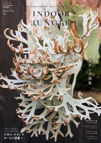 INDOOR JUNGLE No.02 (発売日2024年02月26日) | 雑誌/電子書籍/定期