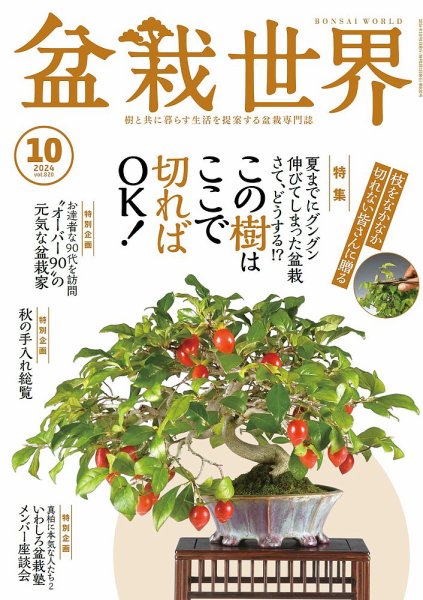 盆栽世界 2024年10月号 (発売日2024年09月04日) 表紙