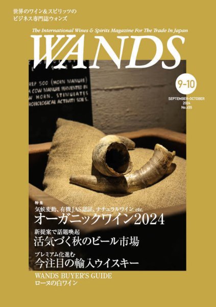 WANDS（ウォンズ） No.455 (発売日2024年09月05日) 表紙