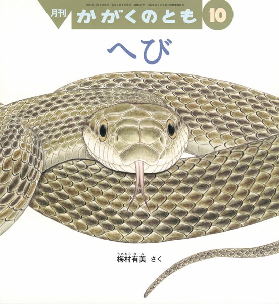 かがくのとも 2024年10月号 (発売日2024年09月03日) 表紙