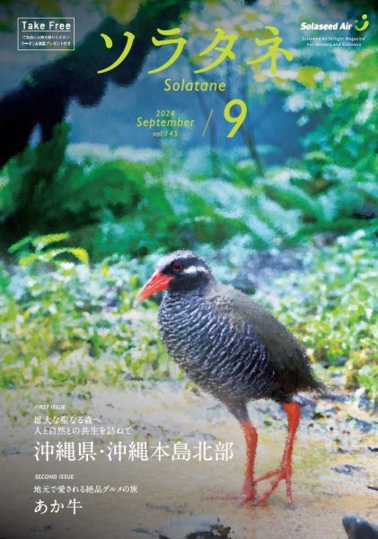 ソラタネ 2024年9月号 (発売日2024年09月01日) 表紙
